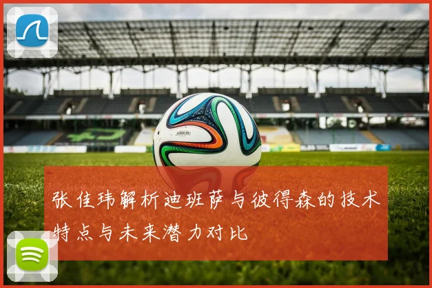 张佳玮解析迪班萨与彼得森的技术特点与未来潜力对比